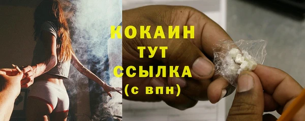 прущие грибы Корсаков