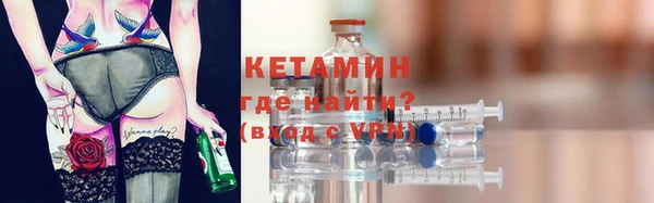 прущие грибы Корсаков