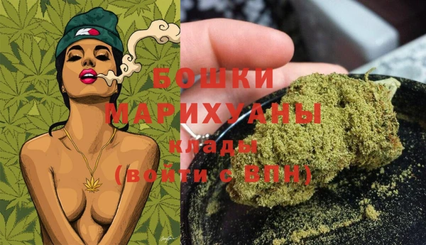 гидропоника Коряжма