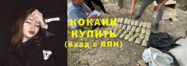 прущие грибы Корсаков