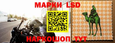 МДПВ Камышлов