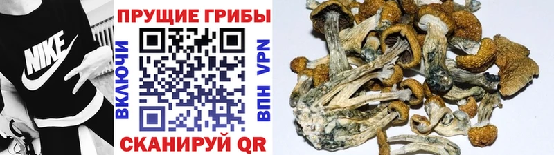 Галлюциногенные грибы GOLDEN TEACHER  ОМГ ОМГ зеркало  Лабытнанги 