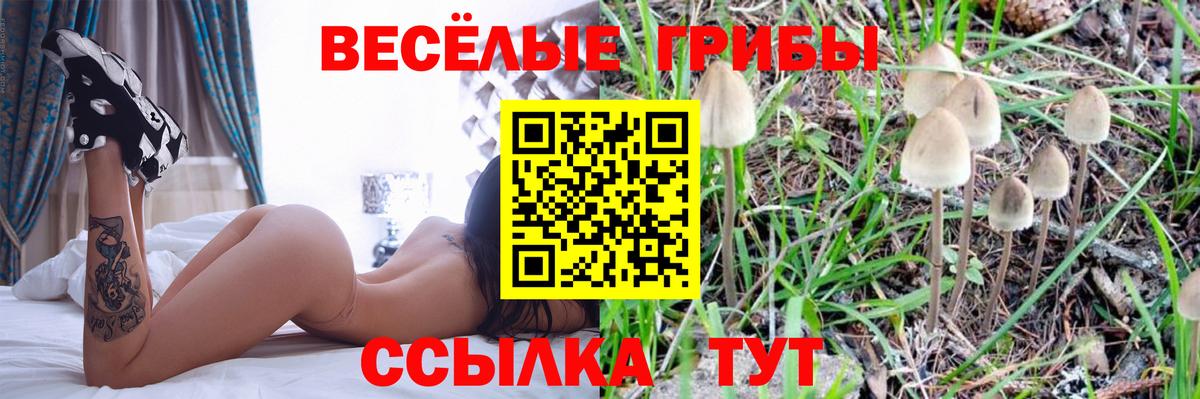 Псилоцибиновые грибы MAGIC MUSHROOMS  Вход с VPN  Псилоцибиновые грибы MAGIC MUSHROOMS  Лабытнанги 